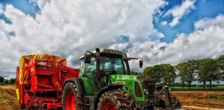 Zemědělství - investice do zemědělské půdy a techniky, Investiční dotace